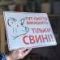 Табличка "Тут сміття викидають тільки свині" TIS-0024