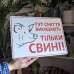 Табличка "Тут сміття викидають тільки свині" TIS-0024