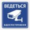 Табличка "Ведеться відеоспостереження" TVN-0014