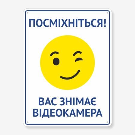 Табличка "Вас знімає відеокамера" TVN-0016